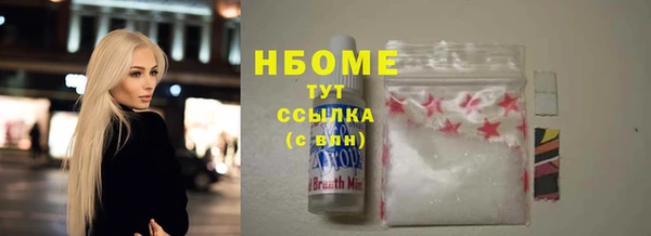индика Алексин
