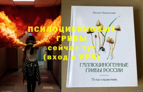 индика Алексин