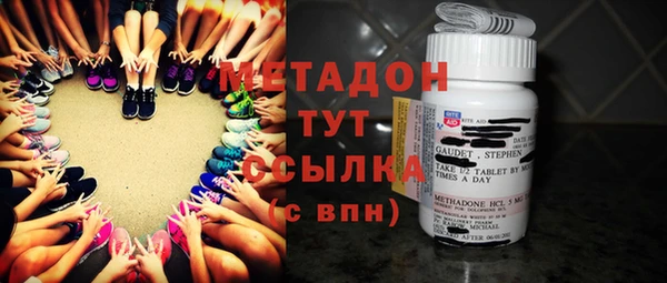 индика Алексин