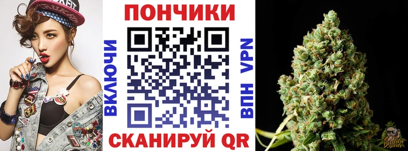 Каннабис ГИДРОПОН  маркетплейс Telegram  Болгар 